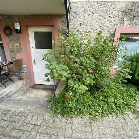 Super Appartment In Laufweite Zum Zentrum&Mainufer * ヴュルツブルク